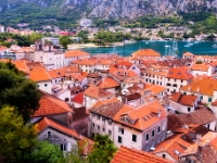 Kotor